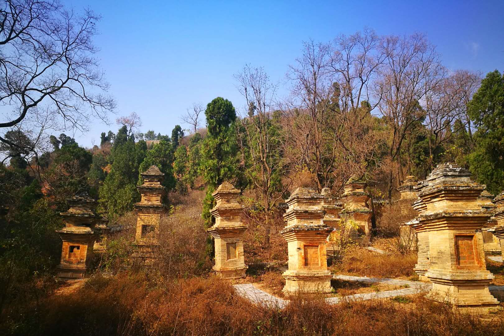 汝州市-风穴寺-下塔林,也是风穴寺最大的一个塔林,现存62座古塔,1个墓碑和1土冢.jpg 汝州市-风穴寺-下塔林,也是风穴寺最大的一个塔林,现存62座古塔,1个墓碑和1土冢.jpg
