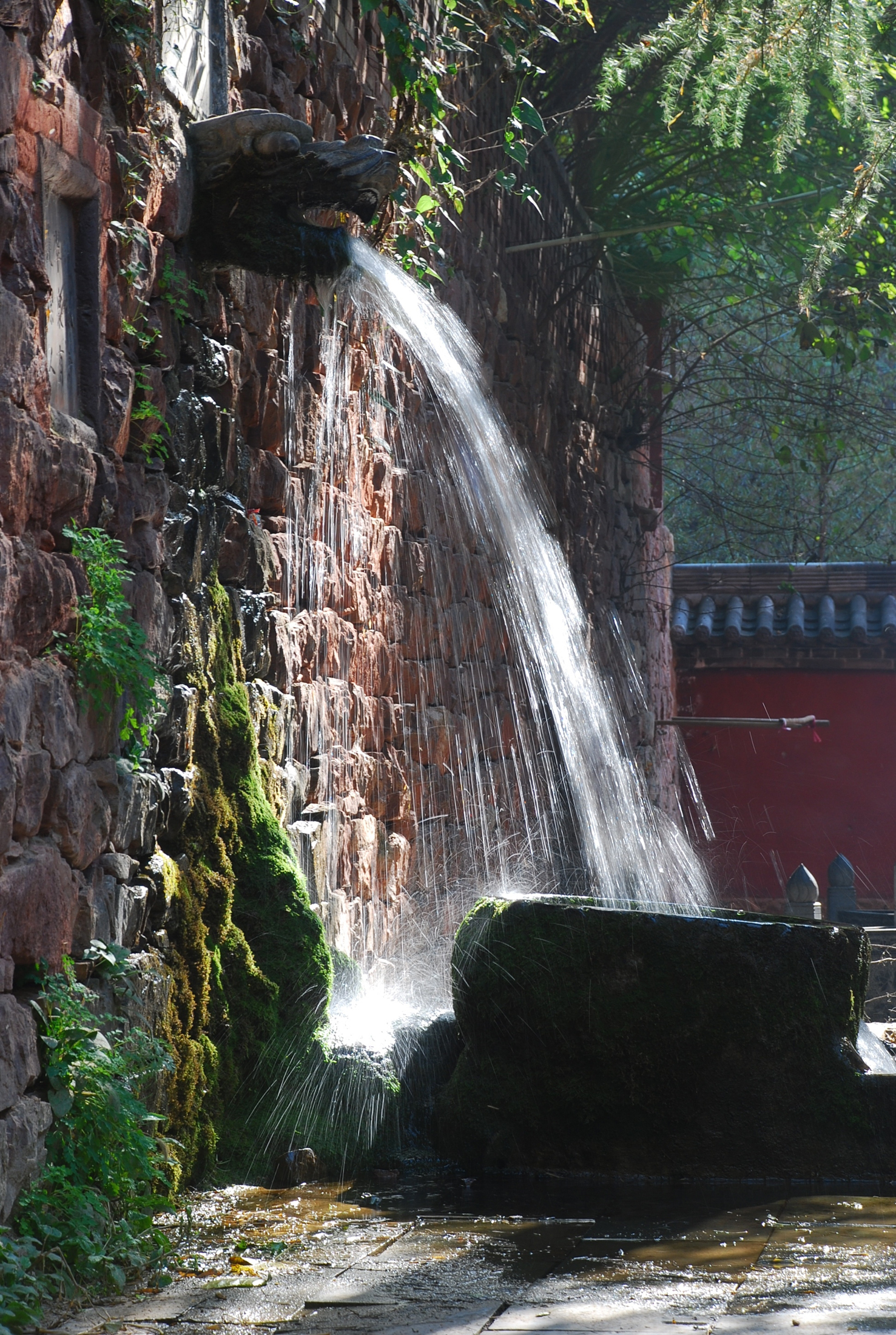 黄耀辉+丝挂龙口.jpg 黄耀辉+丝挂龙口.jpg